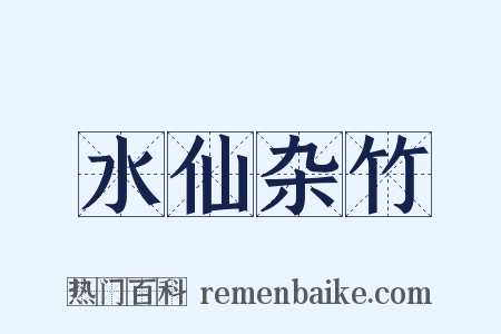 水仙杂竹是什么意思的图片